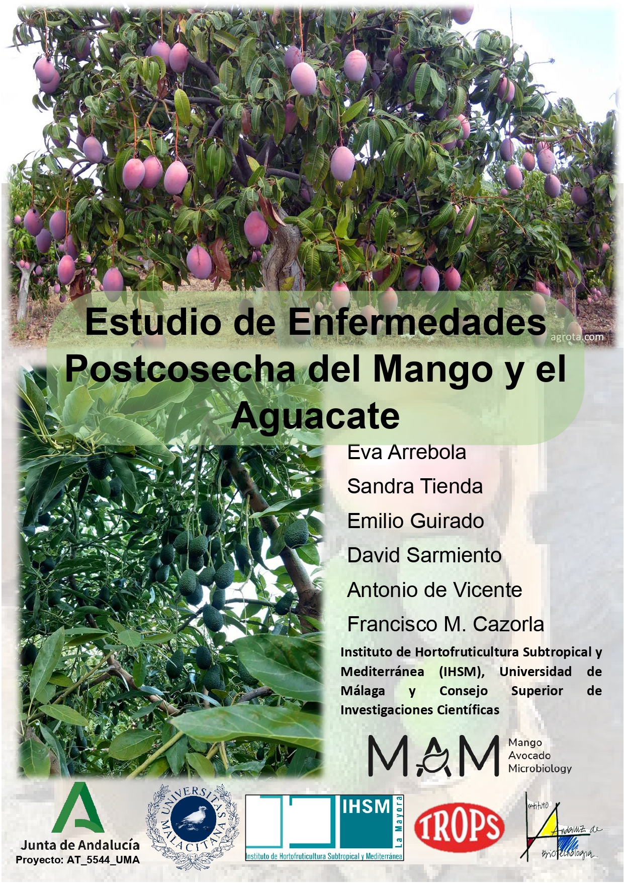 Estudio de Enfermedades Postcosecha del Mango y el Aguacate